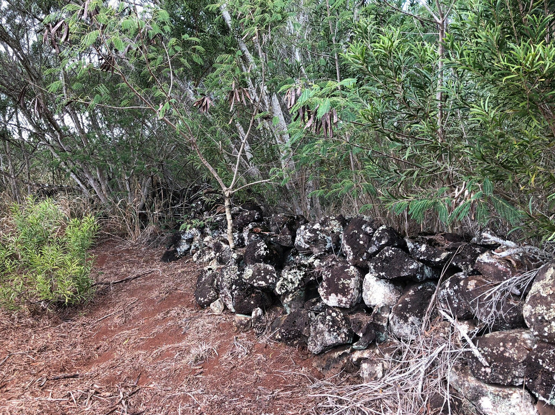 Pu’u O Mahuka Heiau State Monument-Pupukea必去景点