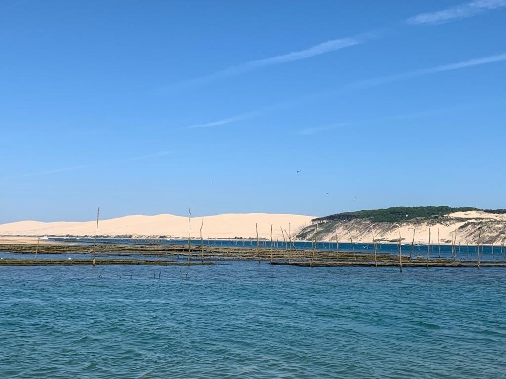 Banc D'arguin-Pyla-sur-Mer必去景点