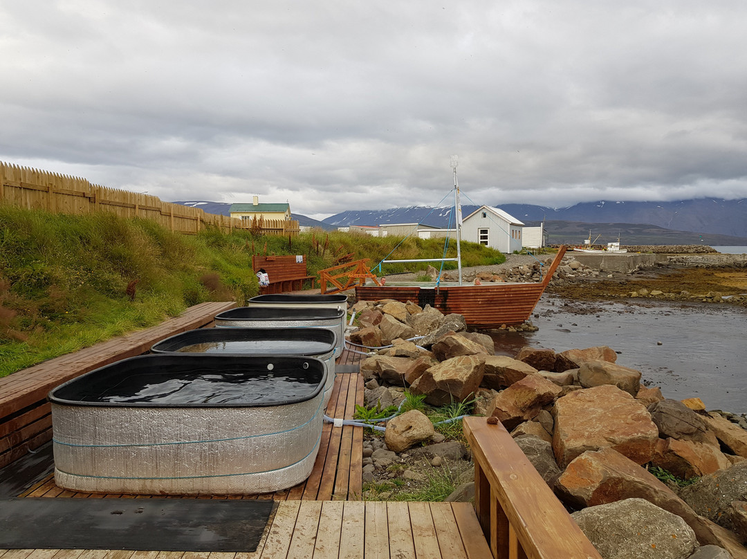 Ektafiskur-Hauganes必去景点