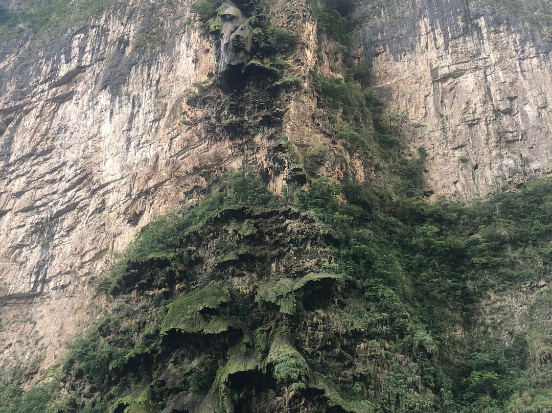 Parque Ecoturistico Canon del Sumidero-中部墨西哥和墨西哥湾沿岸必去景点