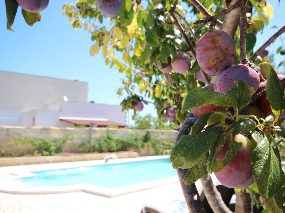 Villa B&B Antiche Macine del Salento主图