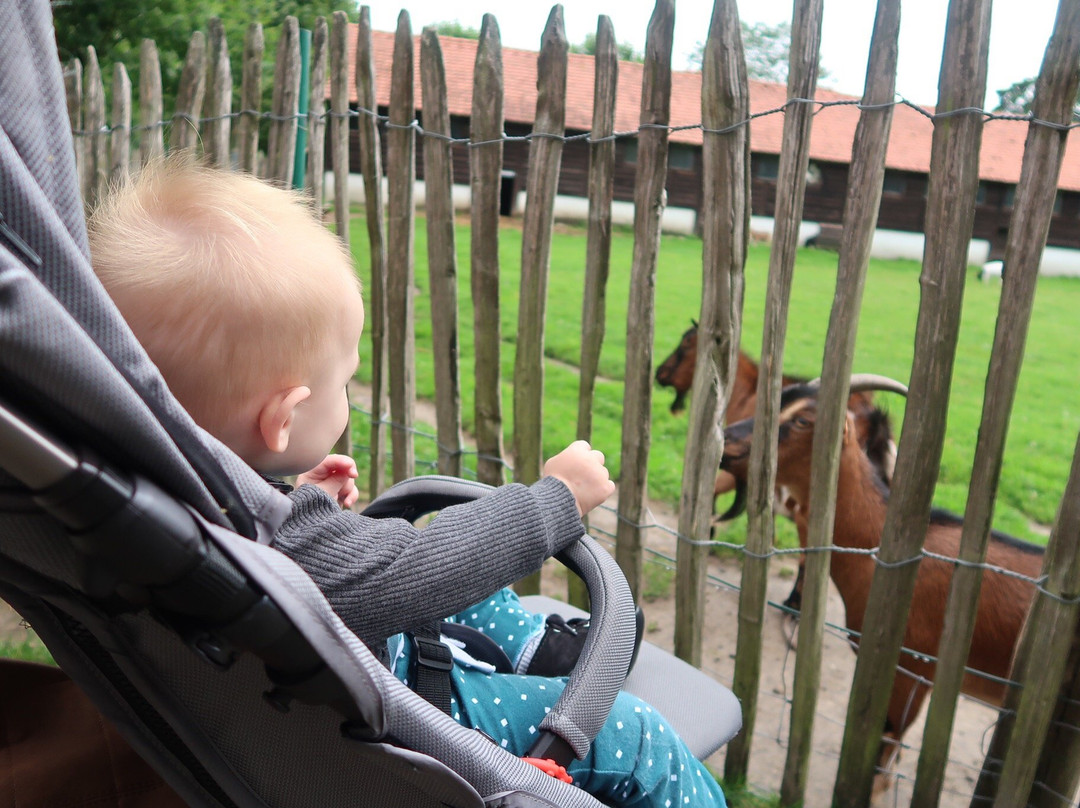 Kinderboerderij Pietersheim景点图片