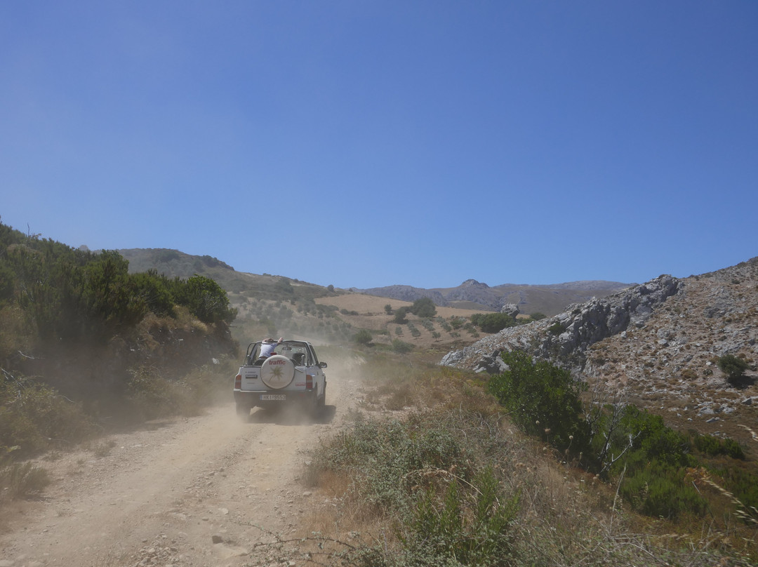 Jeep Safari景点图片