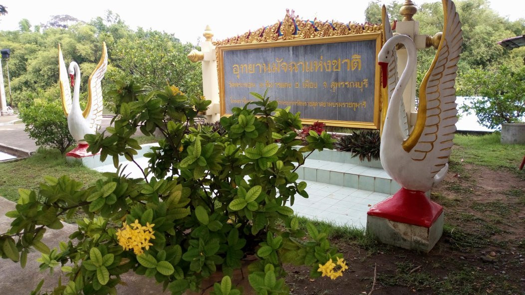 Wat Phra Non-素攀武里必去景点