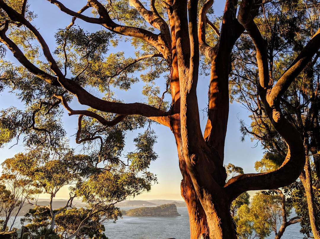 Personalised Sydney Tours景点图片