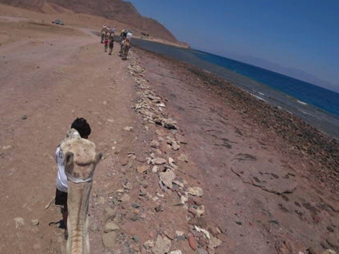 Coloured Canyon-塔巴必去景点