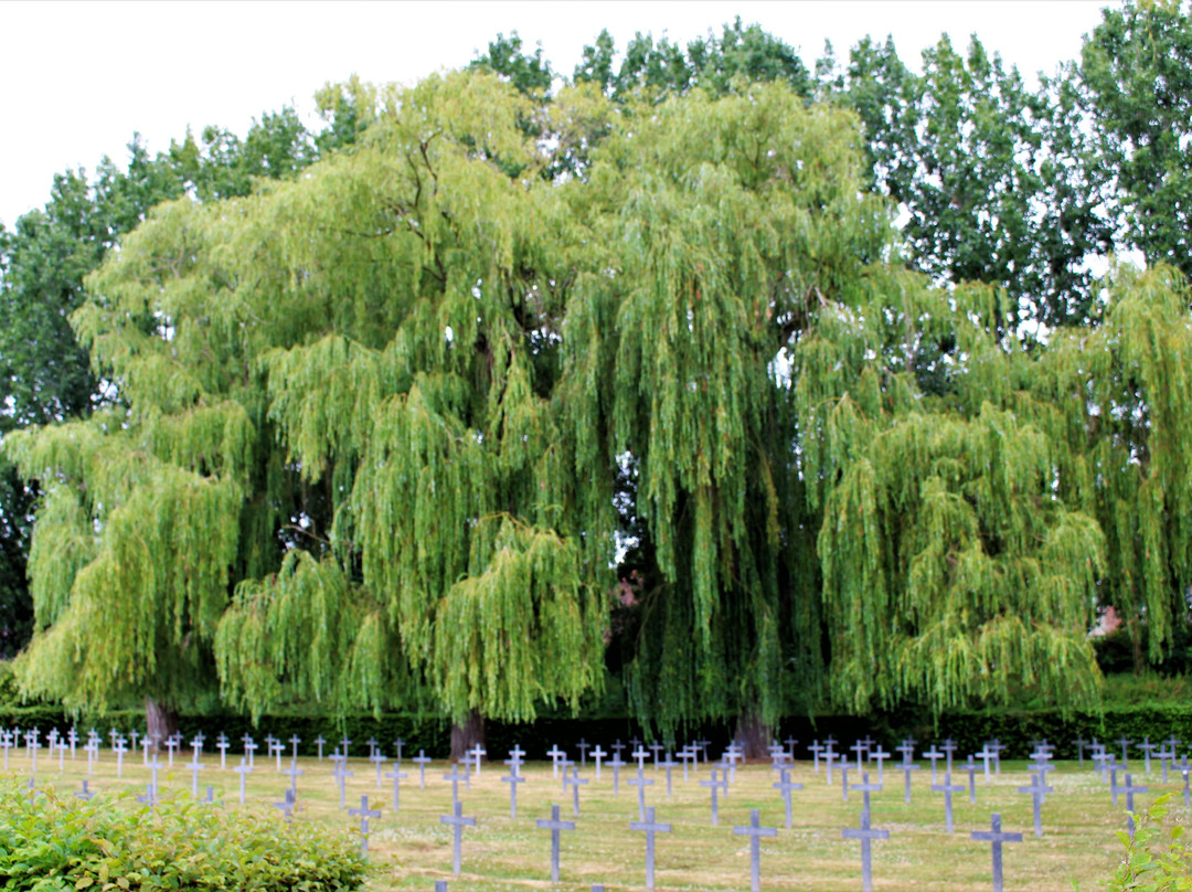 Pont-de-Nieppe German Cemetery景点图片