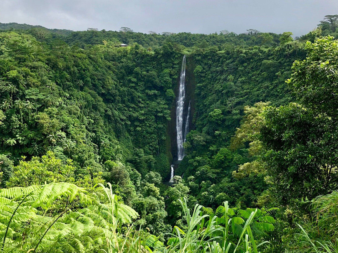 Papapapaitai Falls-阿皮亚必去景点