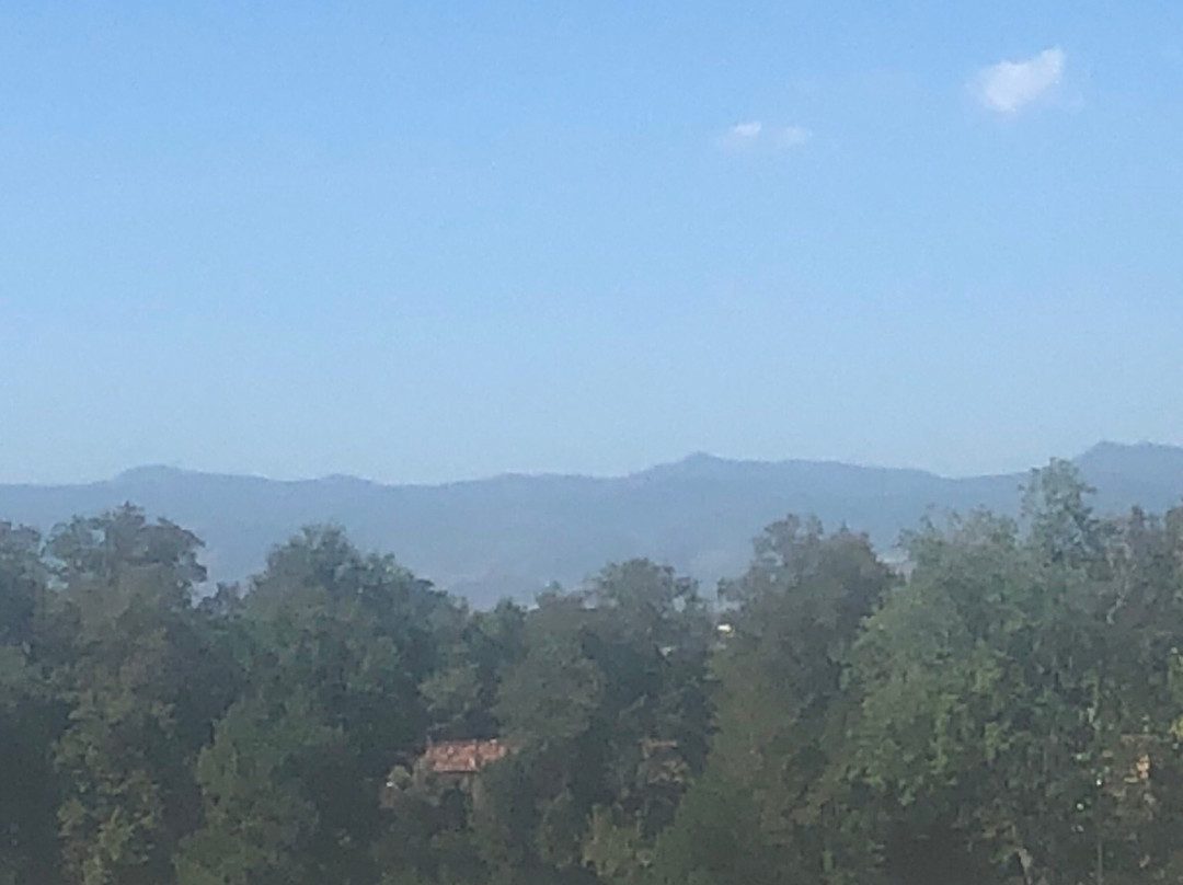 Cheesman Park-丹佛必去景点