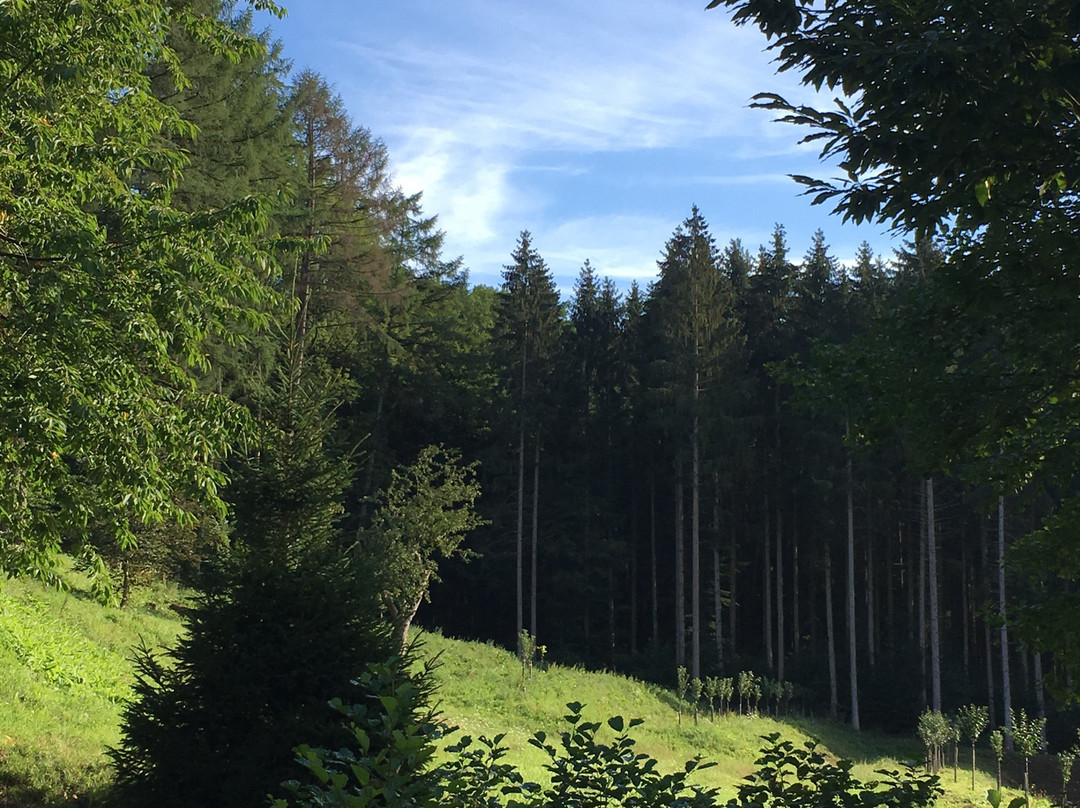 Hotel Hüttenmühle主图