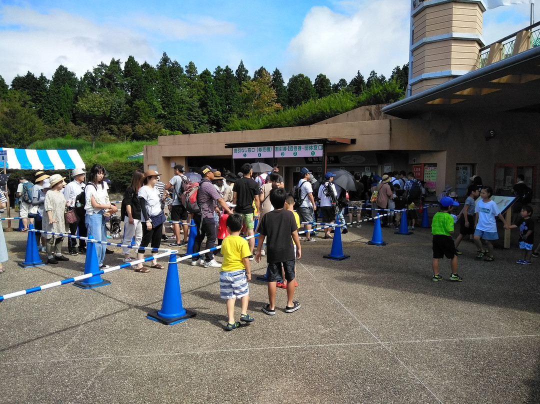 Mount Fuji Children's World景点图片