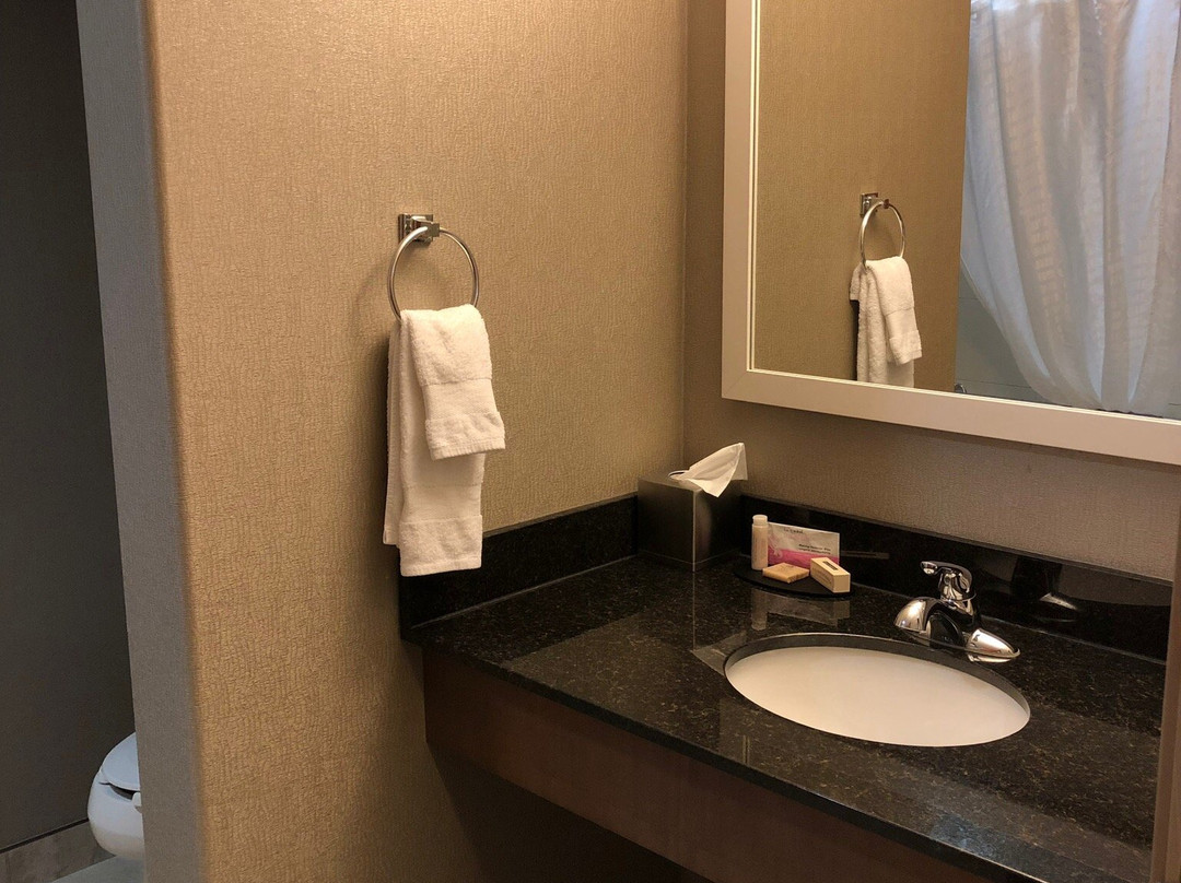 Canalta Selkirk主图