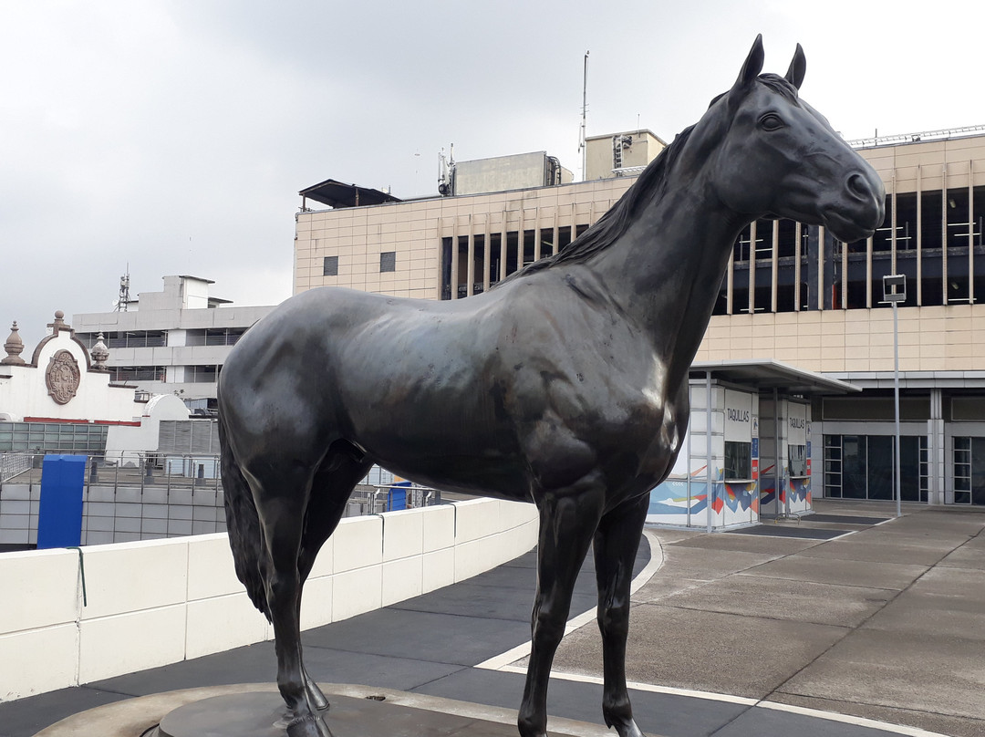 Hipodromo de las Americas景点图片