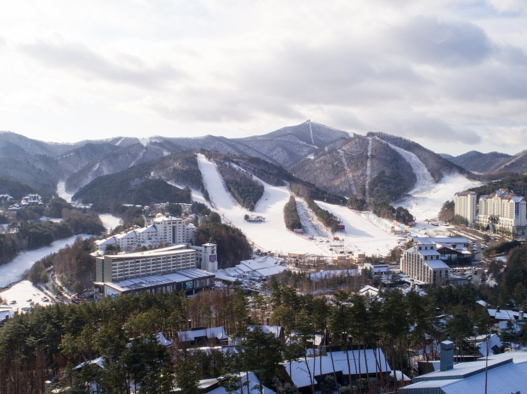 Yongpyong Resort Blisshill Stay主图