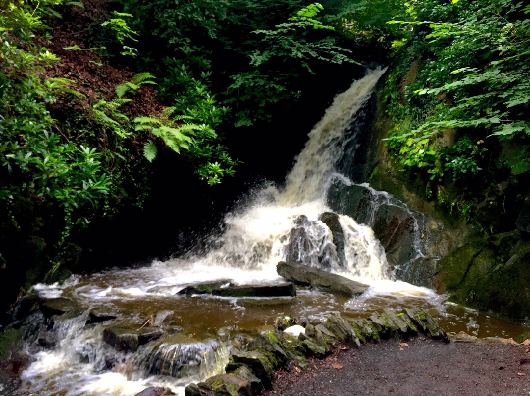 Wilton Lodge Park-Hawick必去景点
