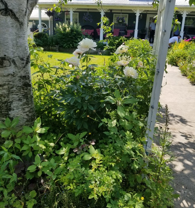 Maidstone Inn Bed and Breakfast主图