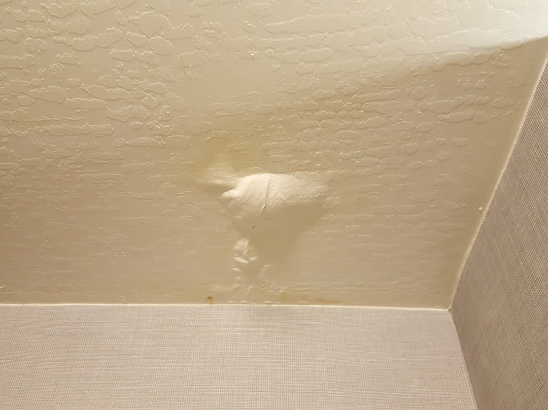 凯悦嘉轩-圣何塞主图