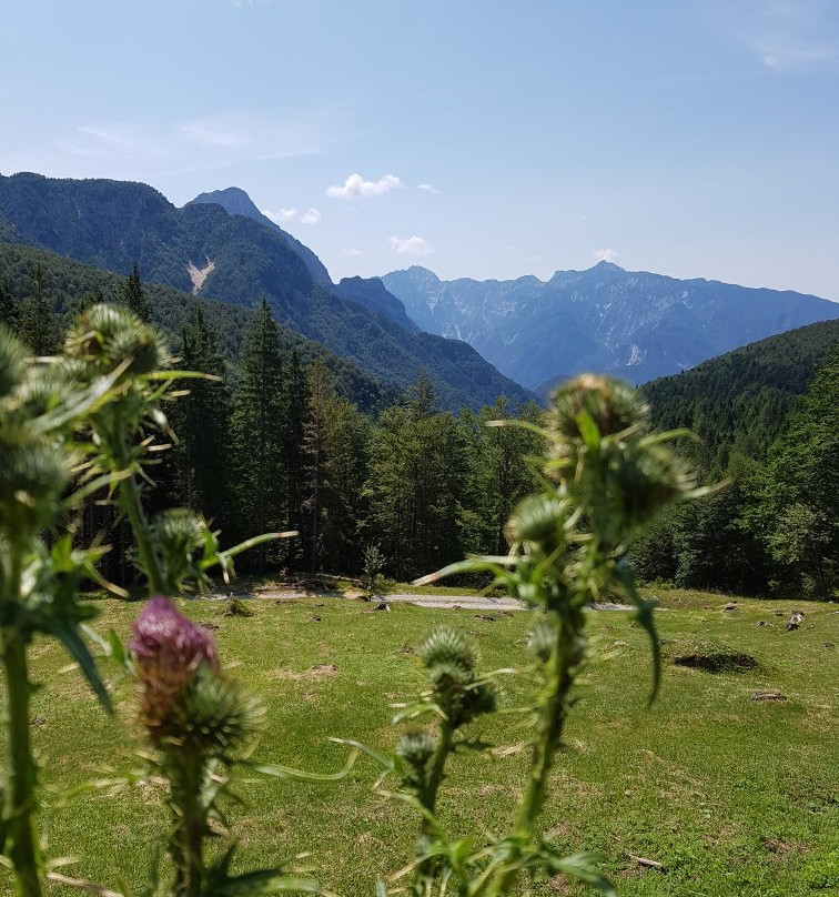 Riserva Naturale Val Alba景点图片