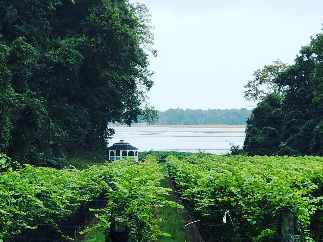 Harmony Vineyards-Head of the Harbor必去景点