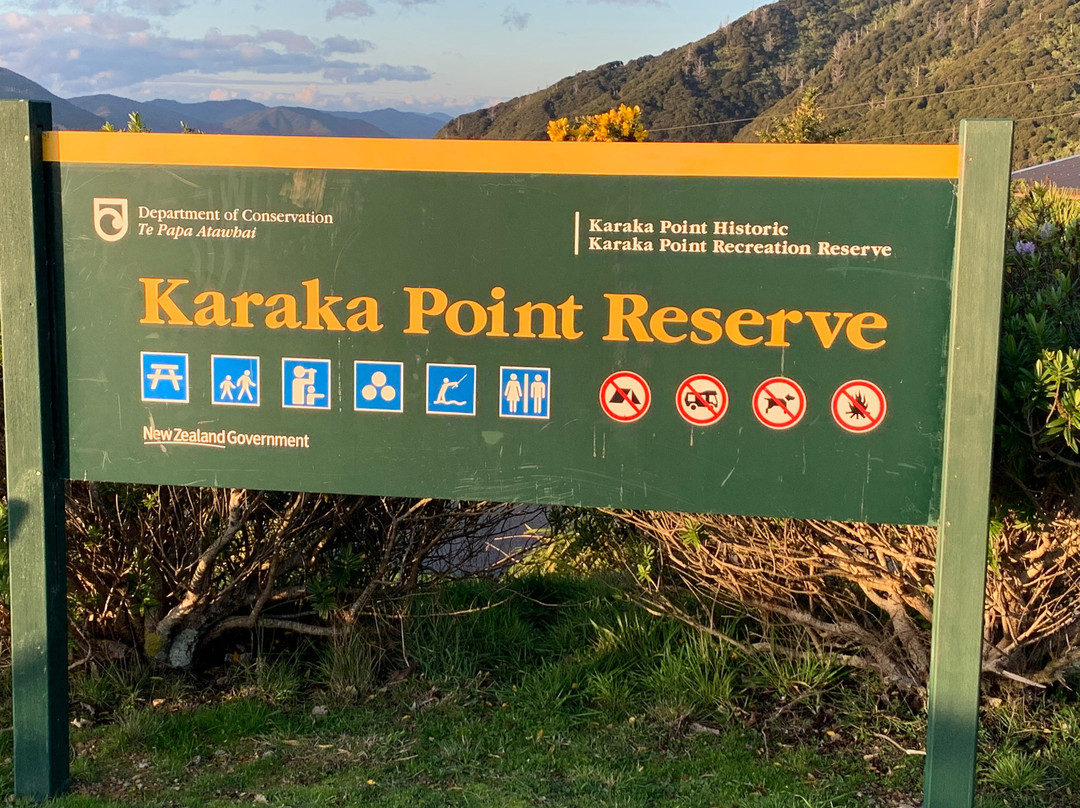 Karaka Point Walk-皮克顿必去景点