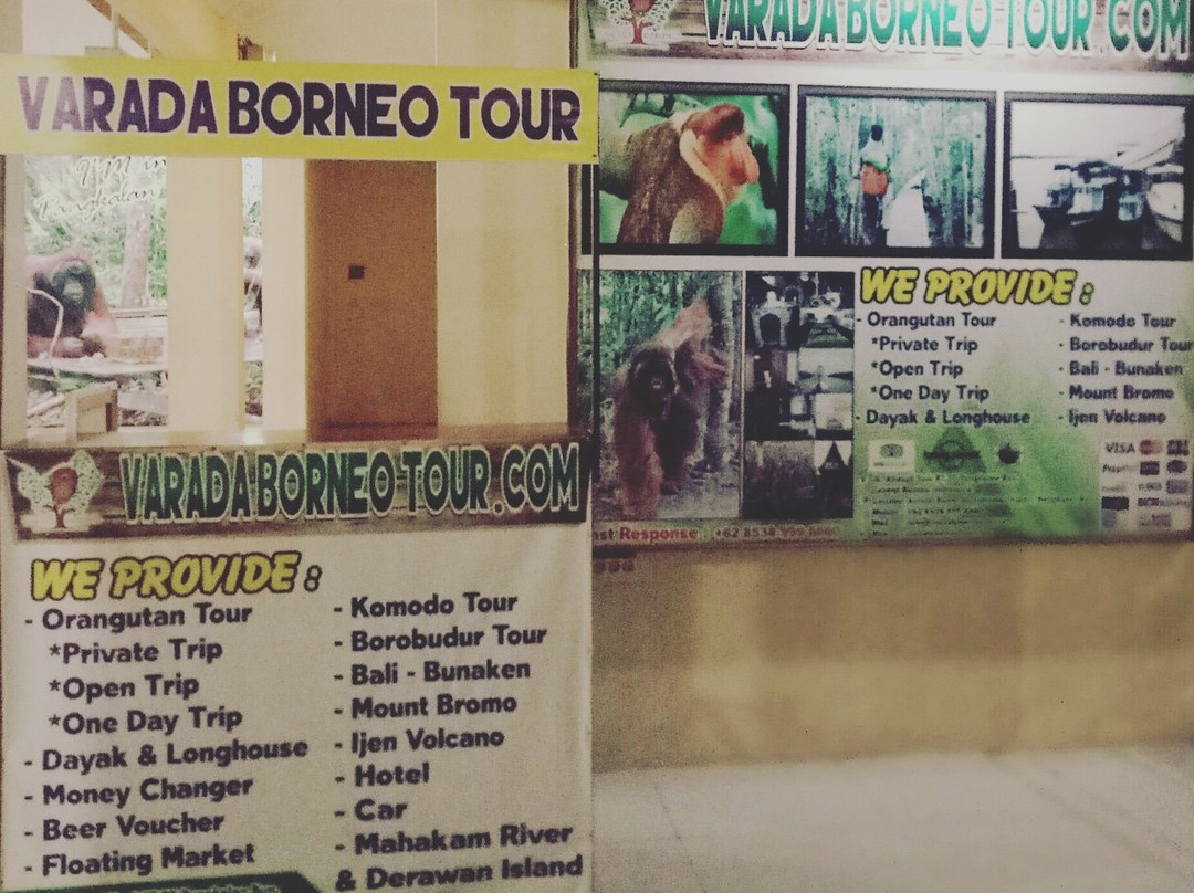 Orangutan tour - Varada Borneo-Pangkalan Bun必去景点