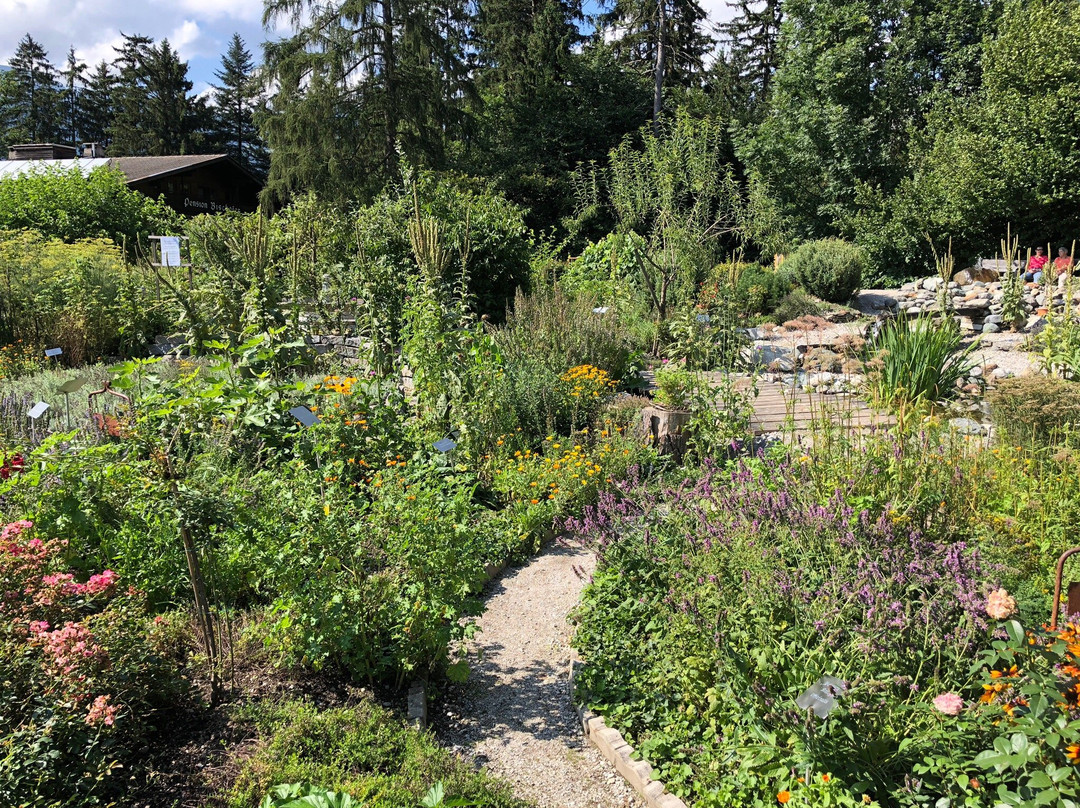 Hildegard von Bingen Garten-莱斯高山溪谷必去景点