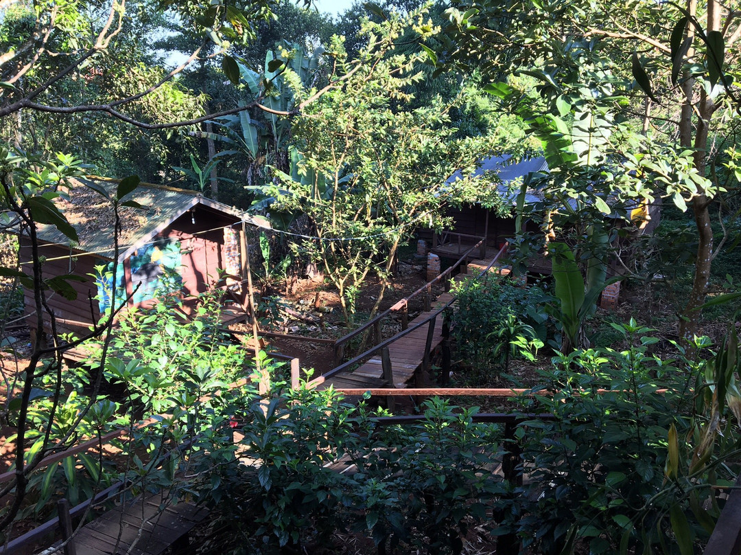 快乐大象山林小屋主图