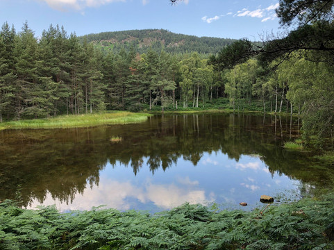 Crannach House主图