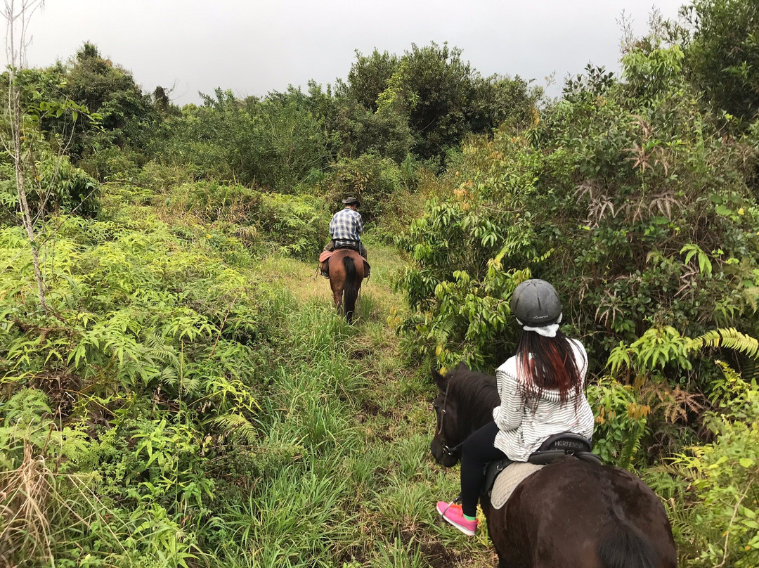 Ferme Equestre du Grand Etang景点图片