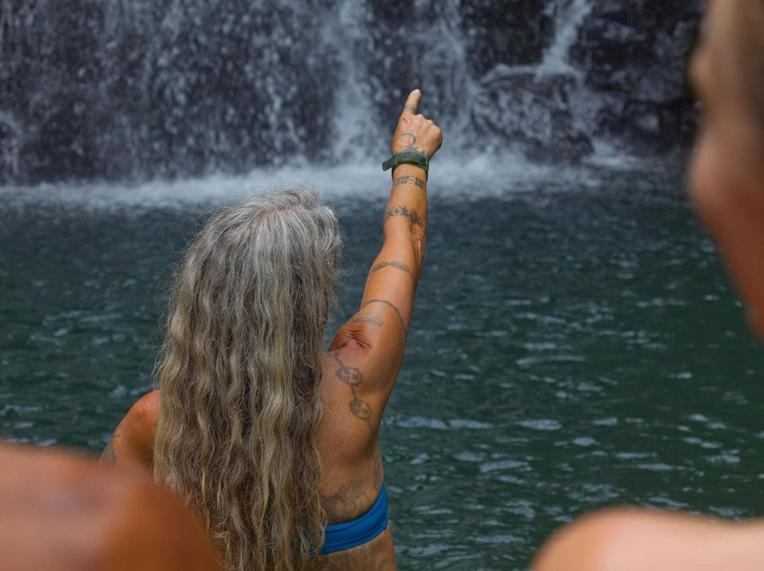 Elf's Custom Island Adventures-瓦胡岛必去景点