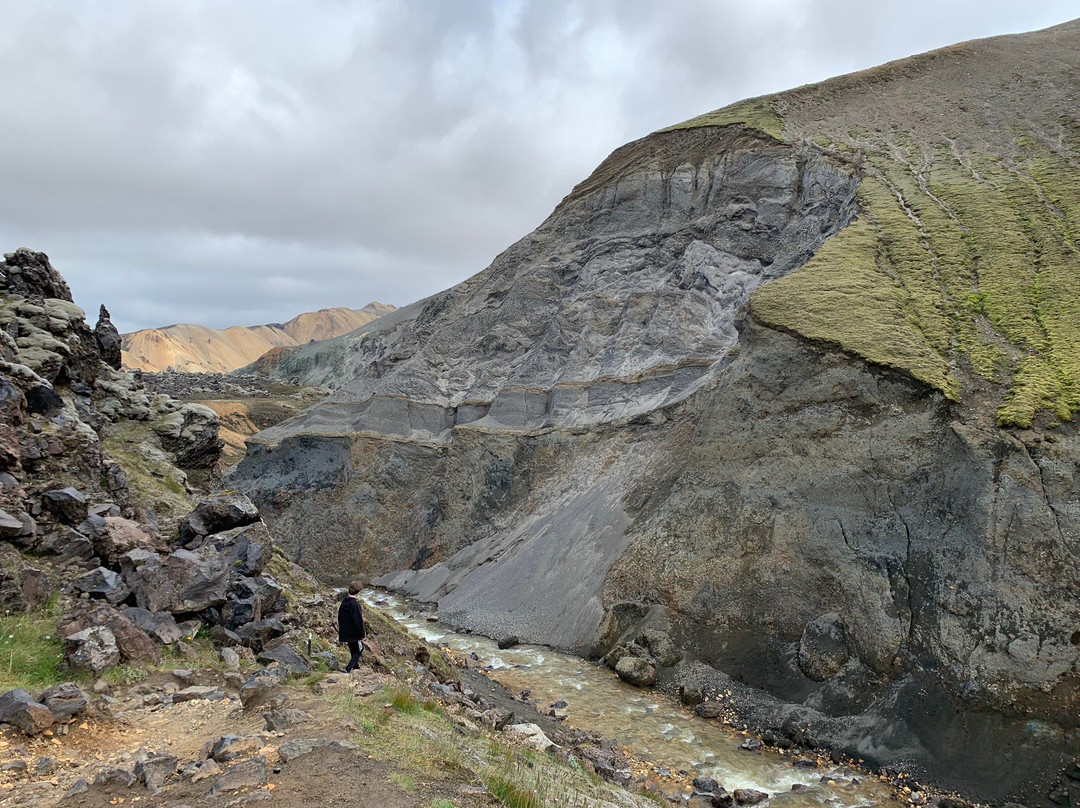 MudShark Tours-海拉必去景点