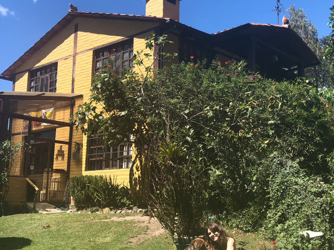 Yellow Guest House主图