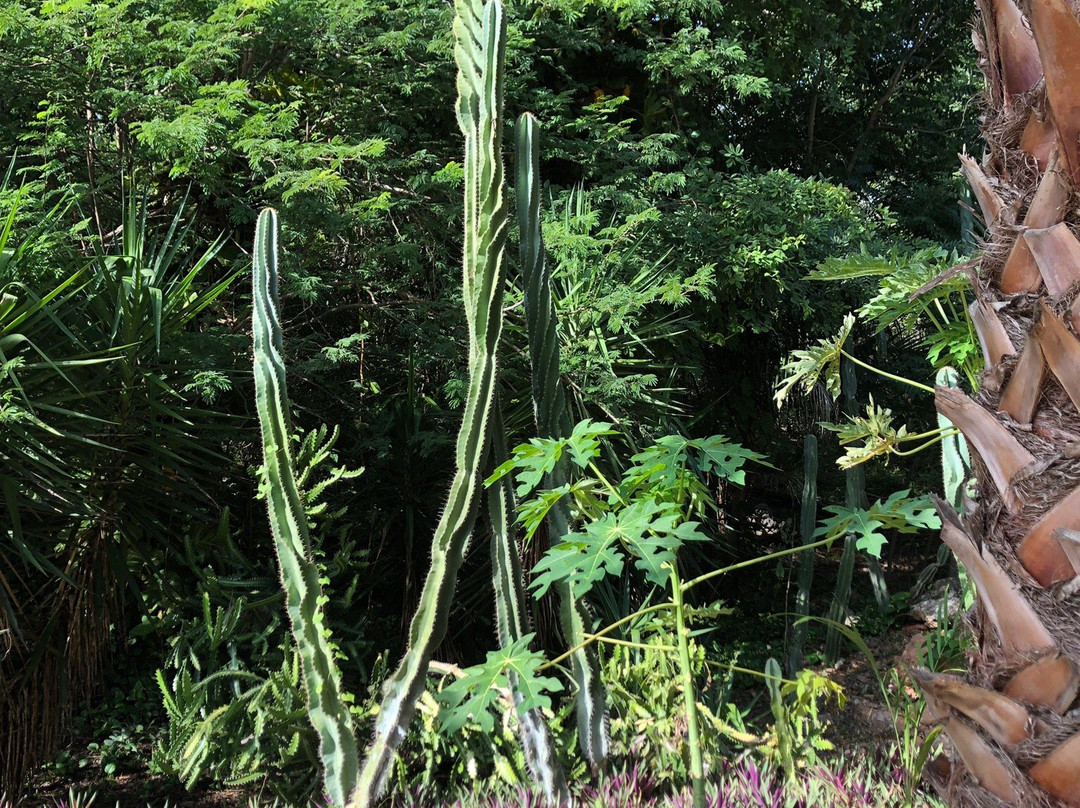 Choco Story-乌科斯玛必去景点