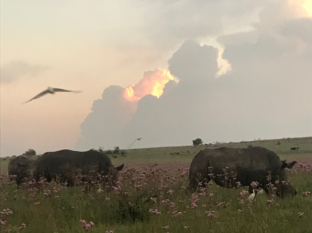 Rietvlei Nature Reserve-比勒陀利亚必去景点
