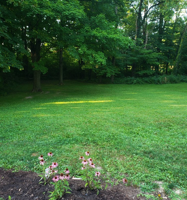 Seldom Scene Meadow Bed & Breakfast主图