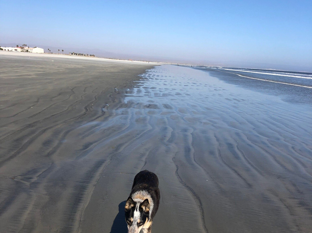 Hotel Mision Santa Maria主图