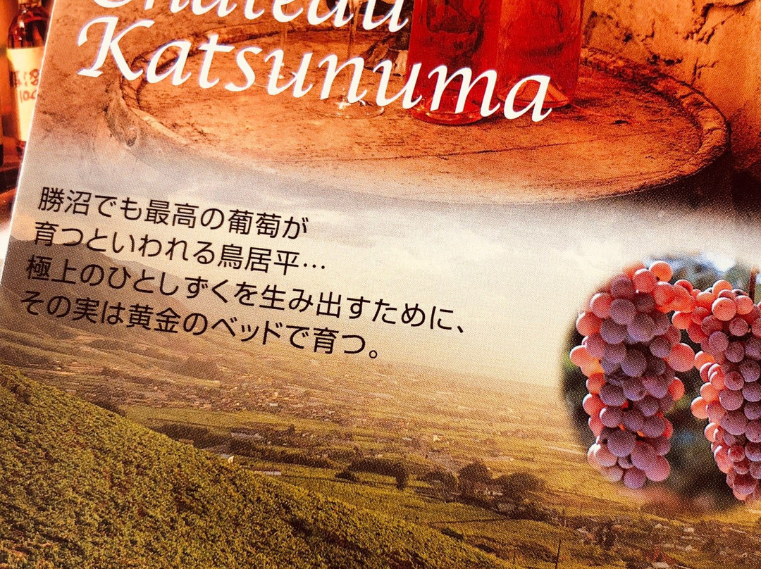 Chateau Katsunuma-甲州市必去景点