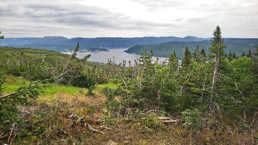 Lookout Hills Trail景点图片