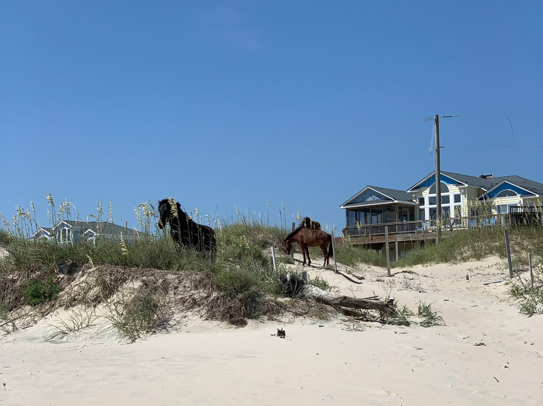 Outer Banks Jeep Rentals景点图片