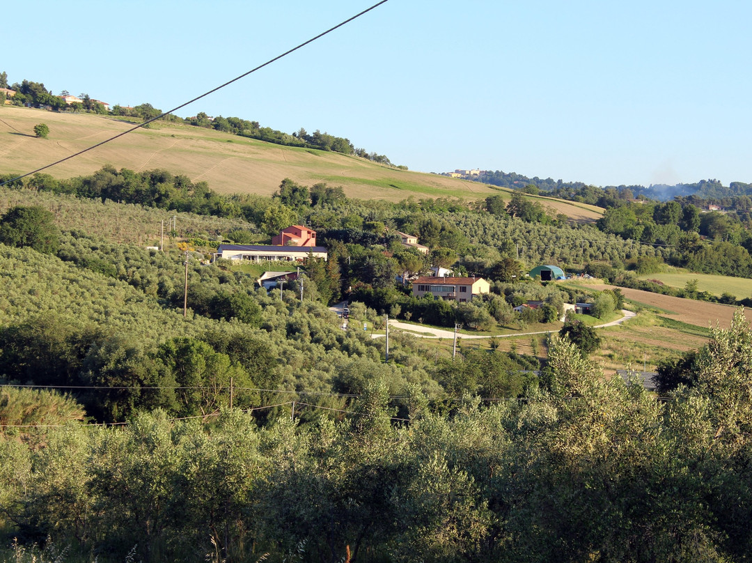 A3Passi Agriturismo tra gli Ulivi主图