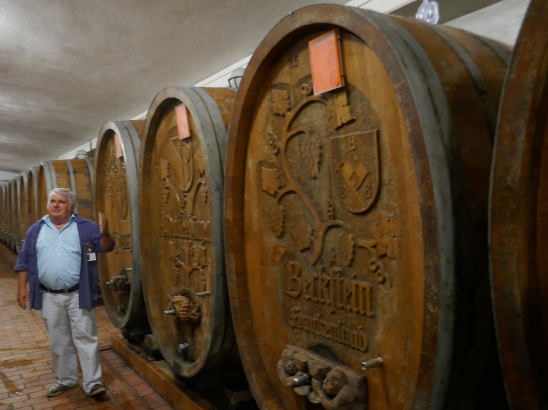 Breisach, Badischer Winzerkeller-Breisach am Rhein必去景点
