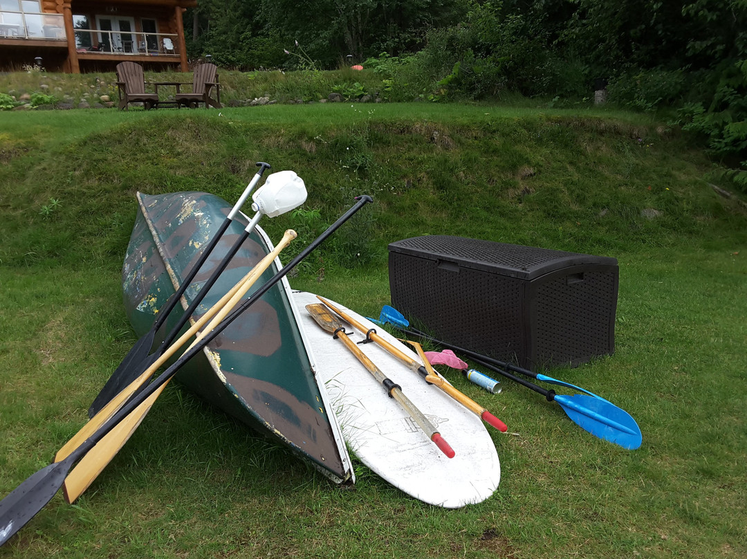 The Lake House主图