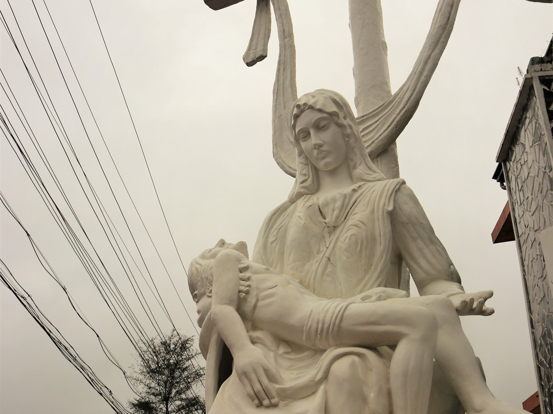 Our Lady of Lourde's Roman Catholic Latin Church景点图片