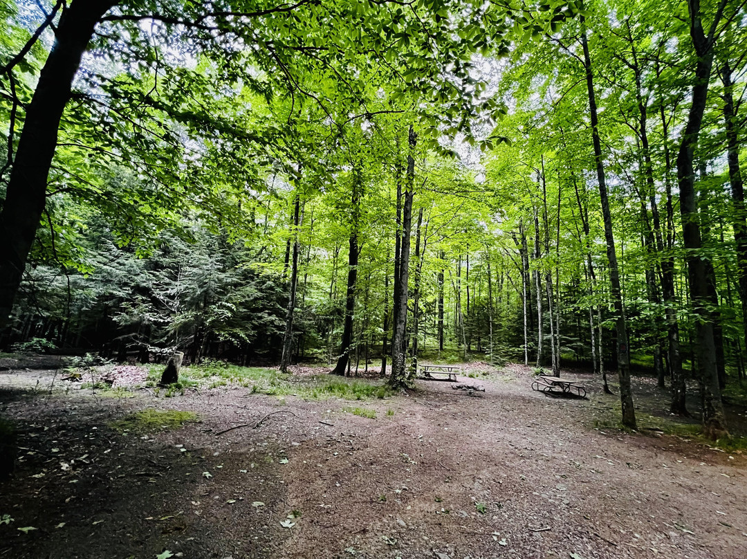 River Forest Campground