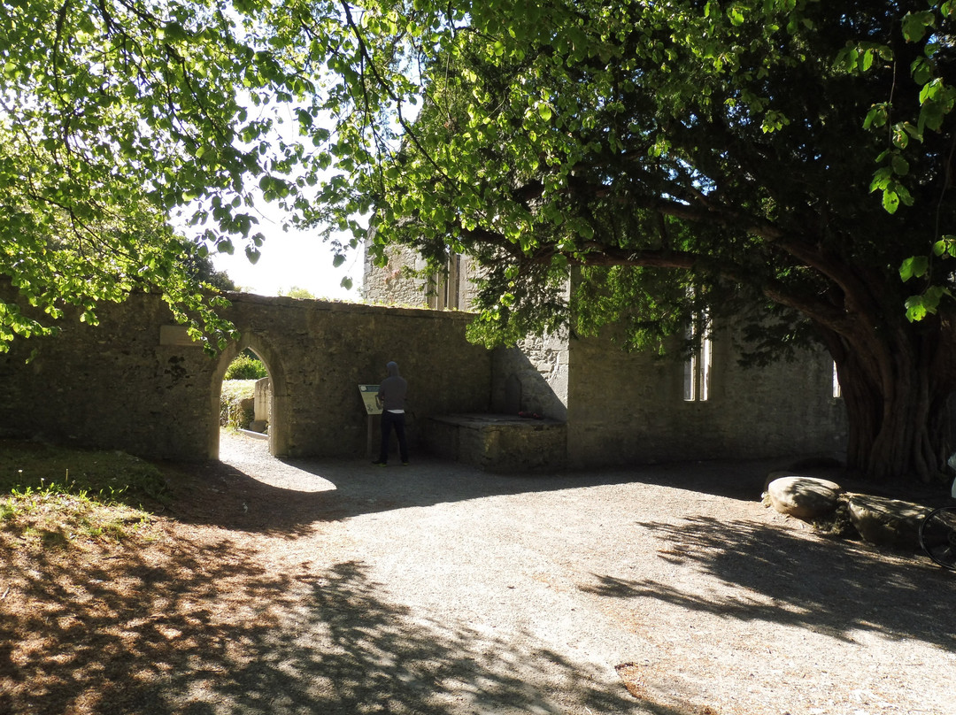 Muckross Abbey景点图片