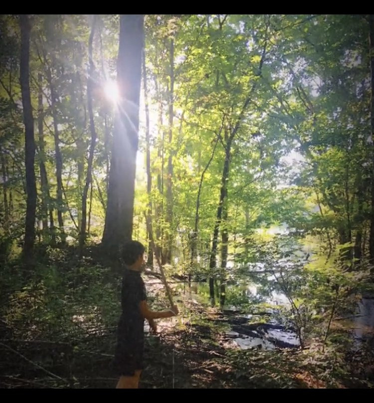 White Oaks Cabins主图