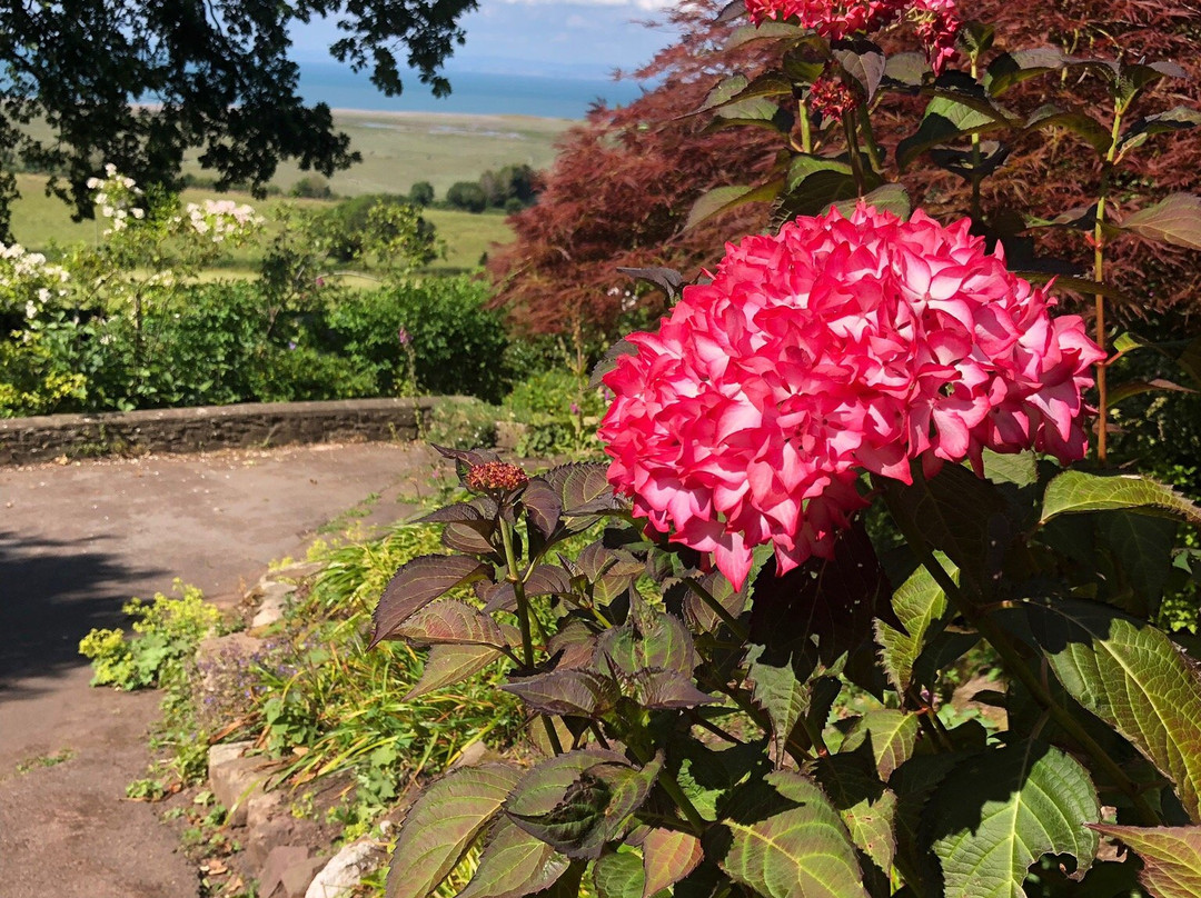 Greencombe Gardens景点图片