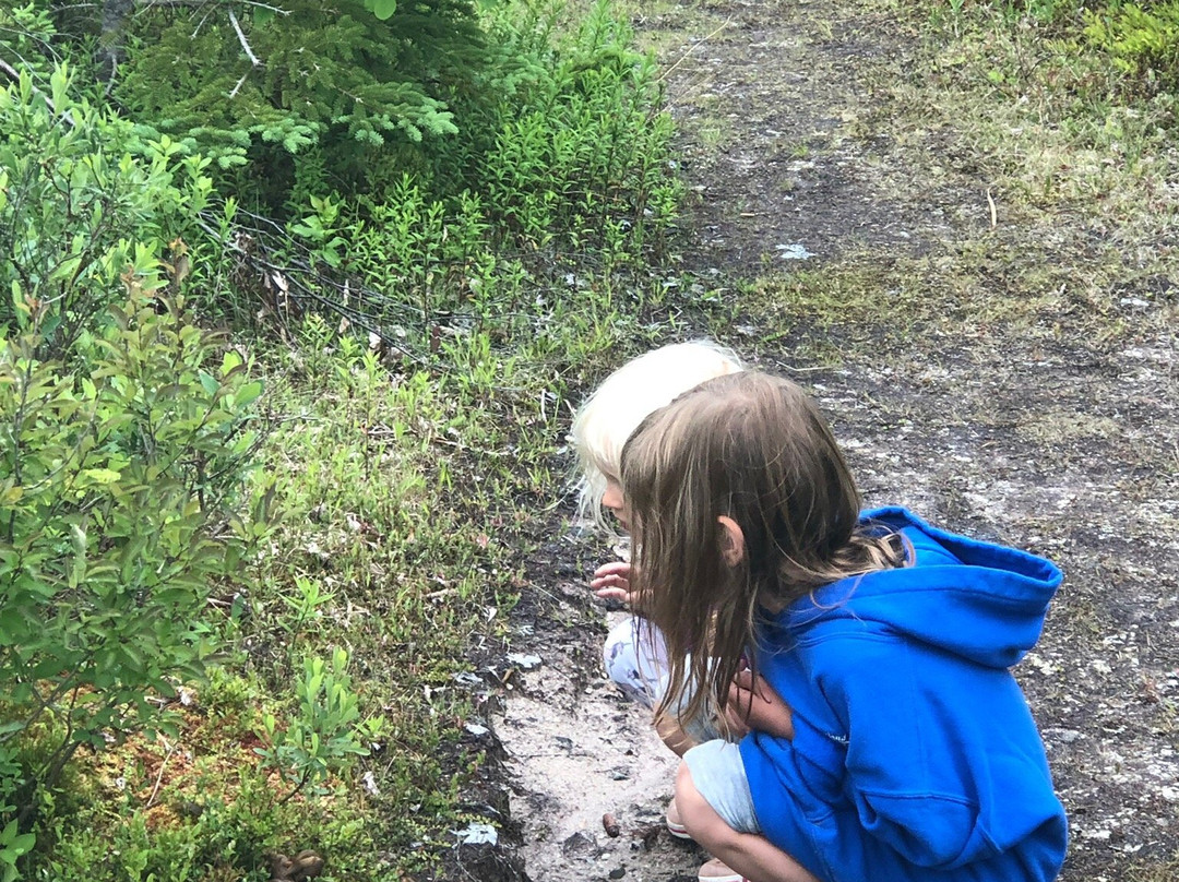 Dalem Lake Provincial Park-Boularderie必去景点