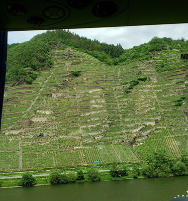 Weingut Weyh-Winningen必去景点