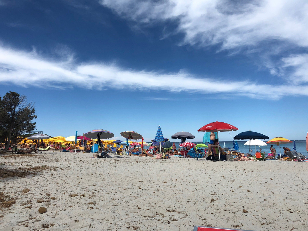 Spiaggia Cala Ginepro e Sa Curcurica景点图片